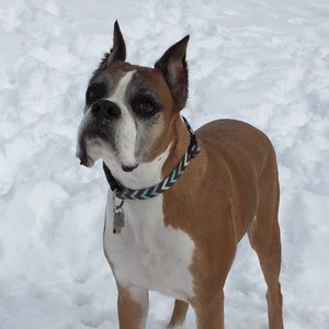 Meet your Posher, Ashlee